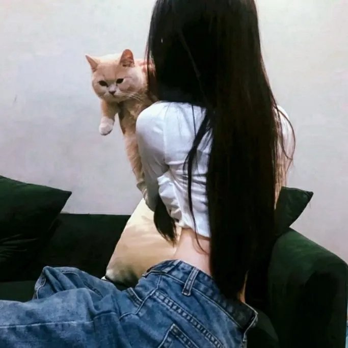 森林之歌